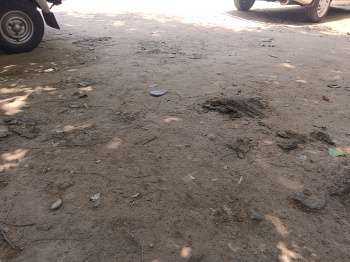 Residential Plot for Sale in Ambasamudram, Tirunelveli (2.5 Cent)