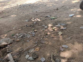 Property for sale in Ambasamudram, Tirunelveli