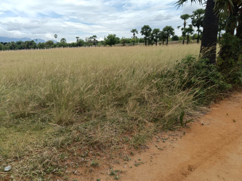 Agricultural/Farm Land for Sale in Ambasamudram, Tirunelveli (1 Ares)