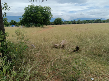 Property for sale in Ambasamudram, Tirunelveli