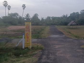 Residential Plot for Sale in Cheranmadevi, Tirunelveli (2.5 Cent)