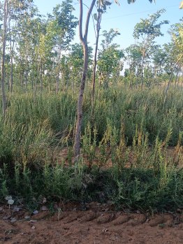 Property for sale in Moolakaraipatti, Tirunelveli