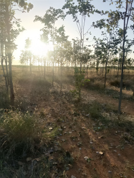 Property for sale in Moolakaraipatti, Tirunelveli