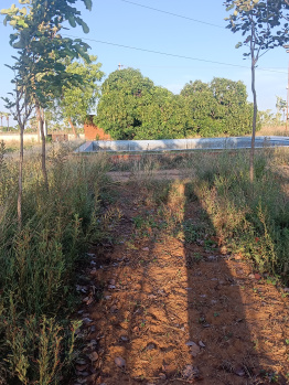 Property for sale in Moolakaraipatti, Tirunelveli