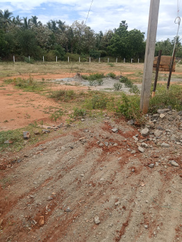 Property for sale in Veeravanallur, Tirunelveli