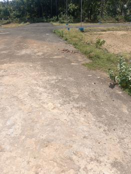 Residential Plot for Sale in Tenkasi, Tirunelveli (4 Cent)