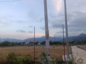 Residential Plot for Sale in Kallidaikurichi, Tirunelveli (3 Cent)