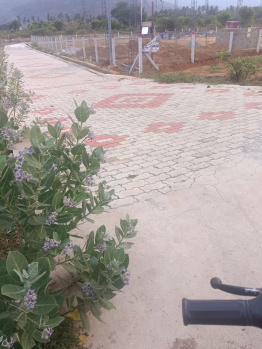Property for sale in Kallidaikurichi, Tirunelveli