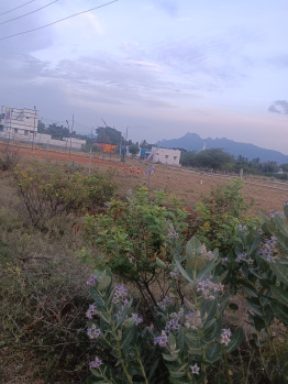 Property for sale in Kallidaikurichi, Tirunelveli