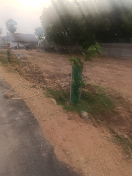 Individual Houses for Sale in Melapalayam, Tirunelveli (900 Sq.ft.)