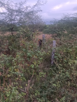 Residential Plot for Sale in Ambasamudram, Tirunelveli (20 Cent)