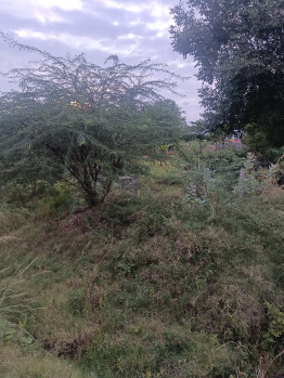 Property for sale in Ambasamudram, Tirunelveli