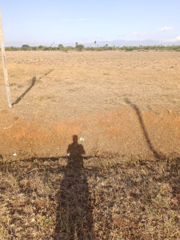 Residential Plot for Sale in Alangulam, Tirunelveli (5 Cent)