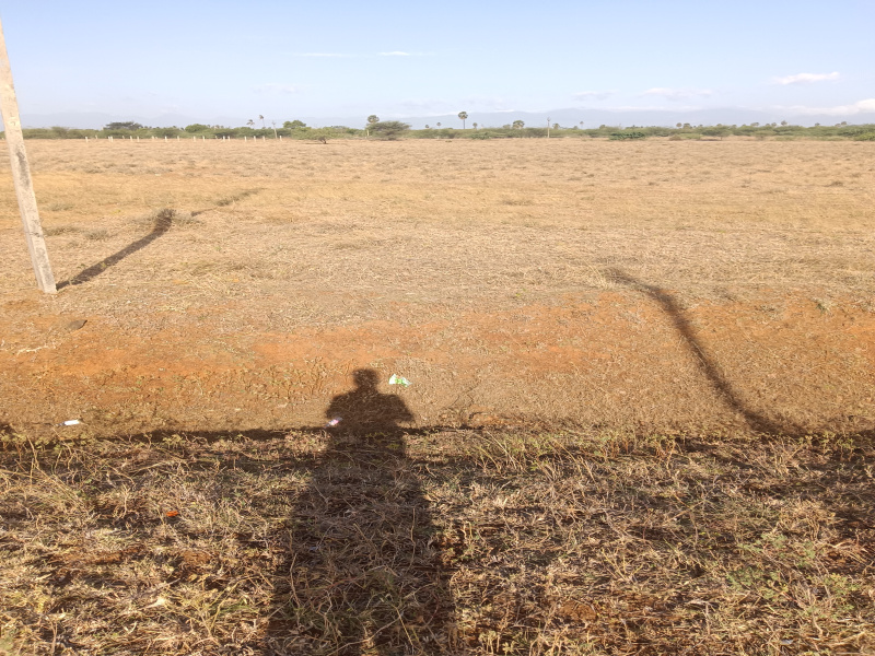 Residential Plot for Sale in Alangulam, Tirunelveli (5 Cent)