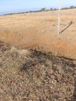 Property for sale in Alangulam, Tirunelveli