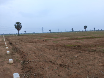 Residential Plot for Sale in Tuckerammalpuram, Tirunelveli (1500 Sq.ft.)