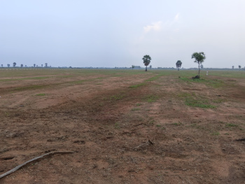 Property for sale in Tuckerammalpuram, Tirunelveli