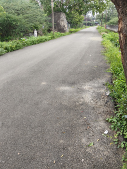 Property for sale in Papanasam, Tirunelveli