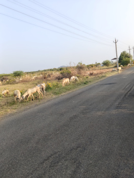 Property for sale in Pattamadai, Tirunelveli