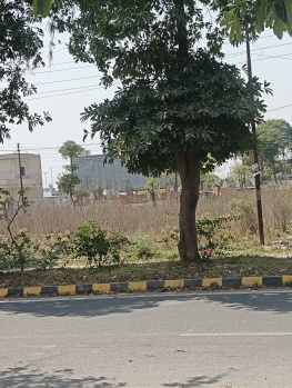 Residential Plot For Sale In New Moradabad, Moradabad (162 Sq. Meter)