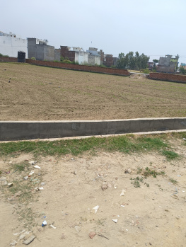 Residential Plot for Sale in Wave City, Ghaziabad (236 Sq. Yards)
