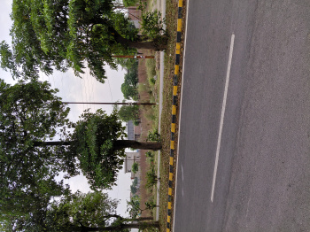 351 Sq. Meter Residential Plot for Sale in Sector 10, Moradabad
