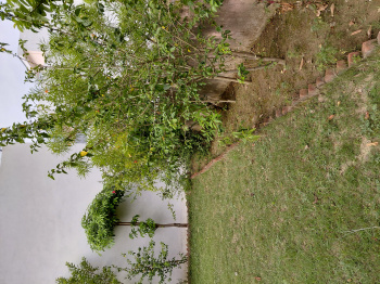 Corner and park facing plot Sector 1