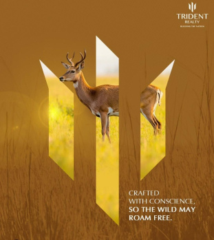 Property for sale in Sector 4 Panchkula