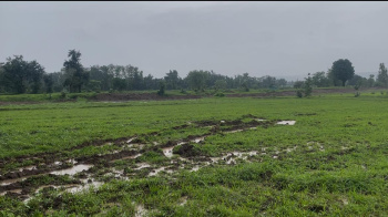 Industrial Land / Plot For Sale In Bardoli, Surat (35 Bigha)