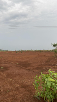 Industrial Land / Plot For Sale In Songadh, Tapi (76 Bigha)