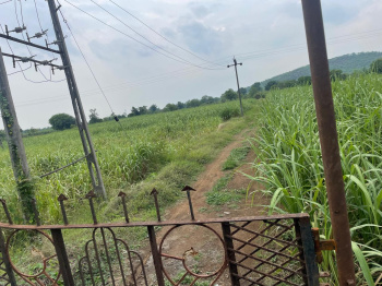 The place is very good to live in and is also very big and has road access