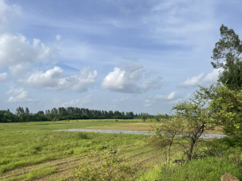 agriculture farm  junisarat with industrial area