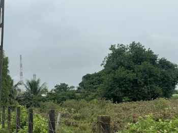 12 Bigha Agricultural/Farm Land for Sale in Songadh, Tapi