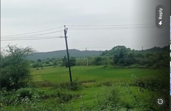 Agricultural/Farm Land for Sale in Songadh, Tapi (5 Bigha)