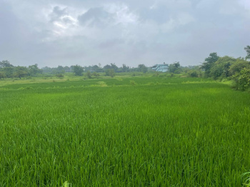 Agricultural/Farm Land for Sale in Songadh, Tapi (18 Bigha)