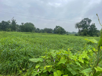 Property for sale in Songadh, Tapi