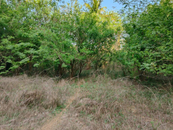 Property for sale in Chitpady, Udupi