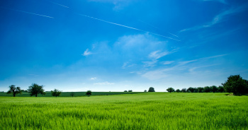 Residential Plot for Sale in Brahmavar, Udupi (68 Cent)