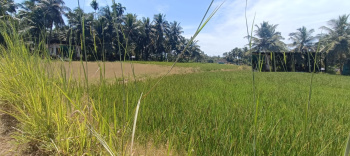 Residential Plot for Sale in Brahmavar, Udupi (11 Cent)