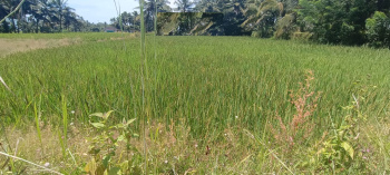 Property for sale in Brahmavar, Udupi