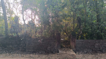 11cents for 3lac per cents agriculture land with old house, road side property, with well at parkala