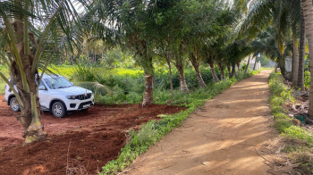 Agricultural/Farm Land for Sale in Annur, Coimbatore (10900 Sq.ft.)