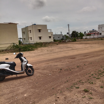 Pattanam residential land for sale