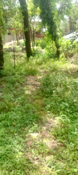 784 Sq. Yards Commercial Lands /Inst. Land For Sale In Gharoh, Dharamshala