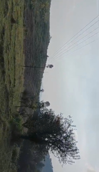 Property for sale in Lohna, Palampur