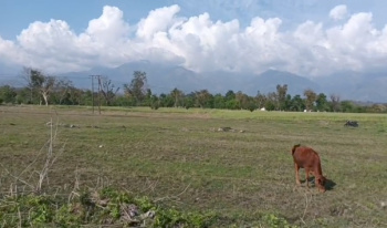 Commercial Lands /Inst. Land for Sale in Matour, Kangra (36864 Sq. Meter)