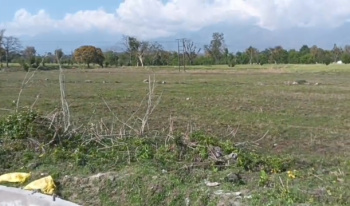 Property for sale in Matour, Kangra