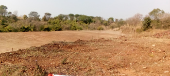 Residential Plot for Sale in Bilaspur (620 Marla)