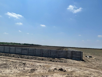 3012 Sq.ft. Residential Plot for Sale in Dholera, Ahmedabad