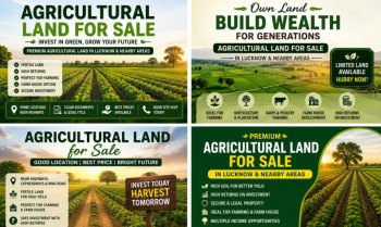 Agricultural/Farm Land for Sale in Raebareli Road, Lucknow (10 Bigha)